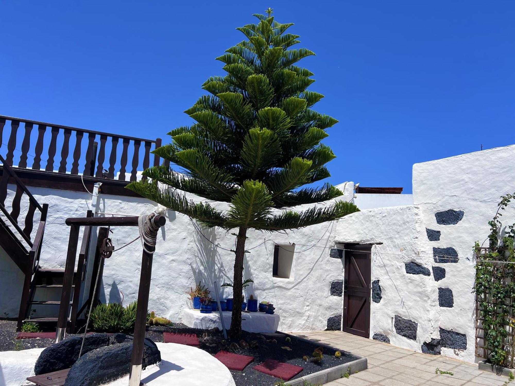 Вилла Casa Rural Estilo Canario Сан-Бартоломе Экстерьер фото